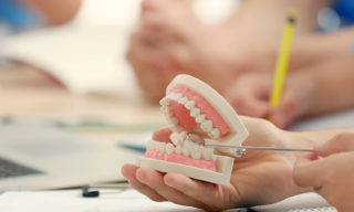 歯医者の模型